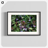 2-78_Insects-Unlocked-Project_blk