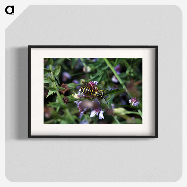 2-78_Insects-Unlocked-Project_blk