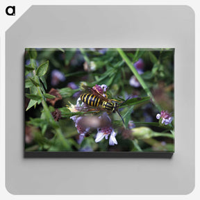 2-78_Insects-Unlocked-Project_canvas