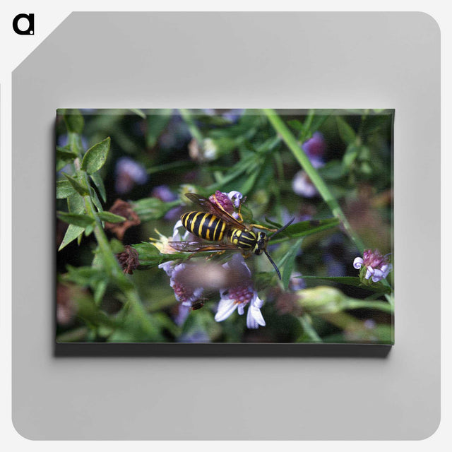 2-78_Insects-Unlocked-Project_canvas