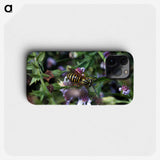 2-78_Insects-Unlocked-Project_phone