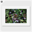 2-78_Insects-Unlocked-Project_picture