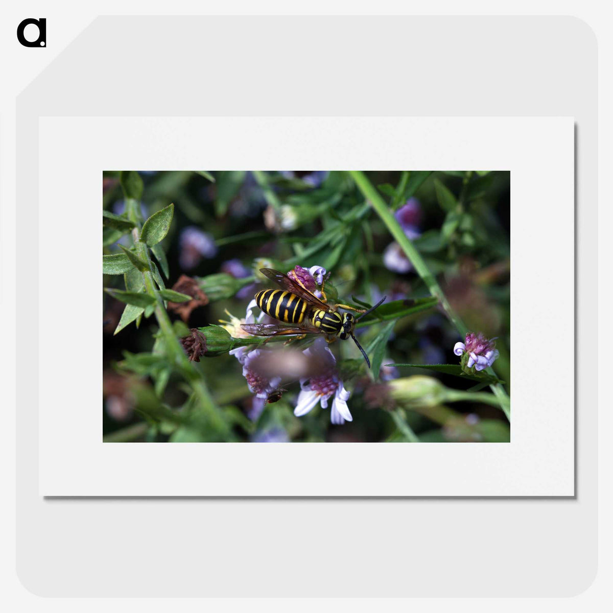 2-78_Insects-Unlocked-Project_picture