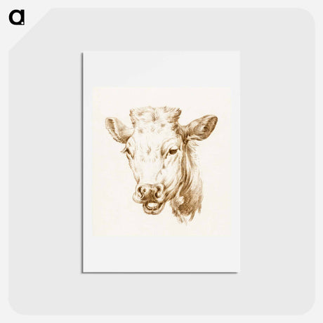 アートポストカード-Head of a cow - ジャン ベルナール Postcard.