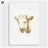 2-78_Jean-Bernard_picture