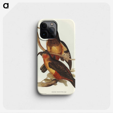 2-78_John-Gould_phone