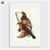 2-78_John-Gould_picture