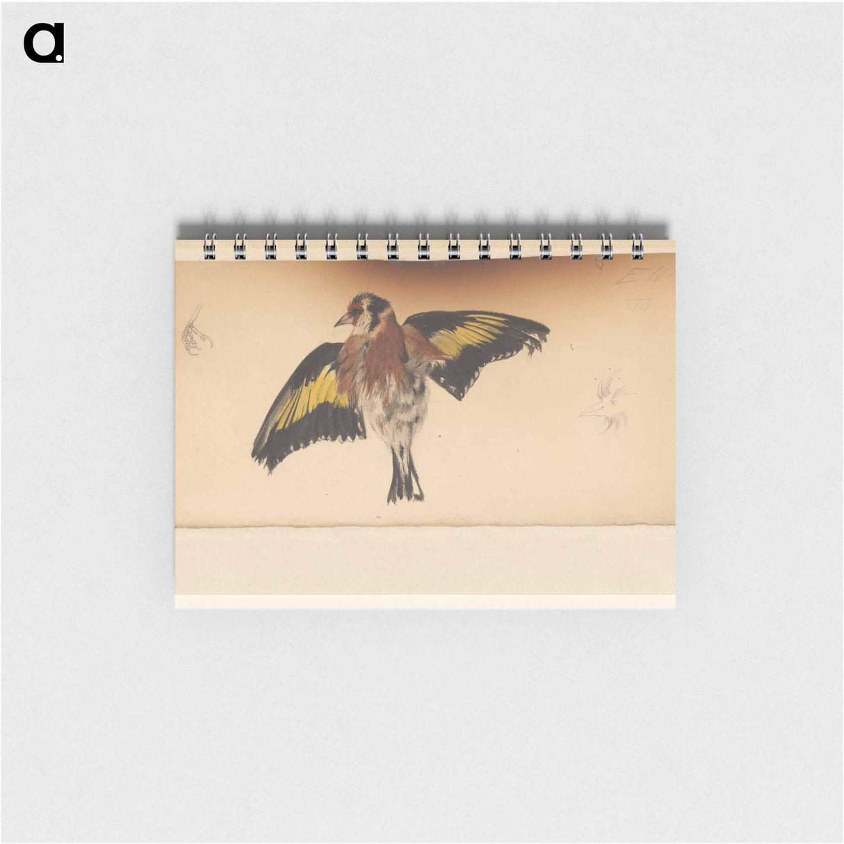 Vogel met uitgespreide vleugels - ユリー デ フラーハ Memo.