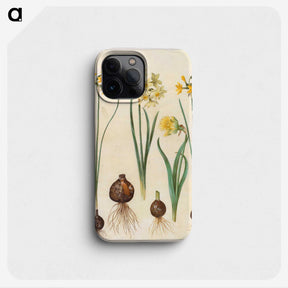 2-78_Maria-Sibylla-Merian_phone