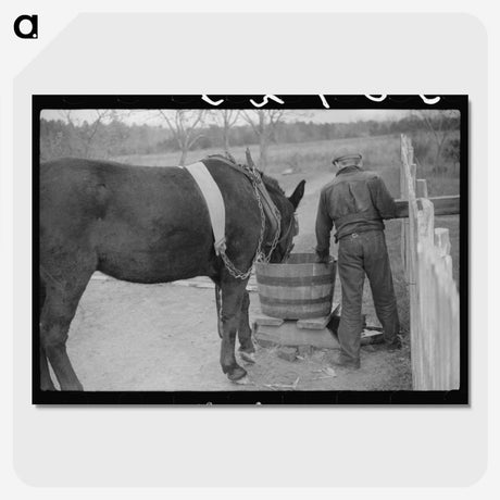2-78_Marion-Post-Wolcott_picture-crop