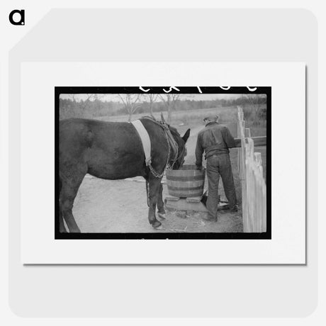 2-78_Marion-Post-Wolcott_picture