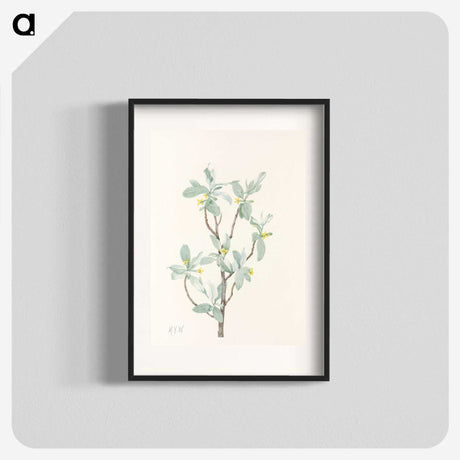 2-78_Mary-Vaux-Walcott_blk