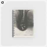 2-78_Odilon-Redon_memo