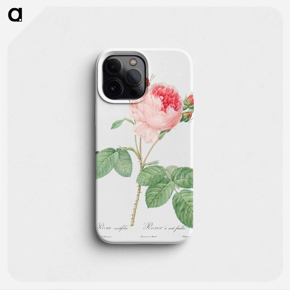 Cabbage Rose - ピエール ジョゼフ ルドゥーテ Phone Case.