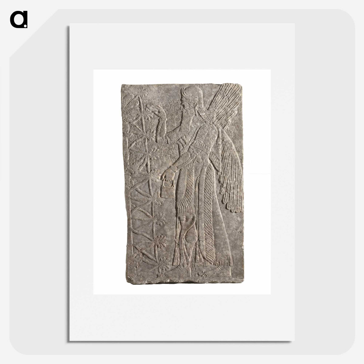 2-78_Saint-Louis-Art-Museum_picture