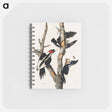アートメモ帳-Ivory-billed Woodpecker from Birds of America
 - アメリカの鳥たち Memo.