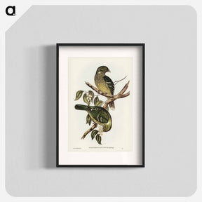 アートポスター-Cat Bird
 - オーストラリアの鳥 Poster.