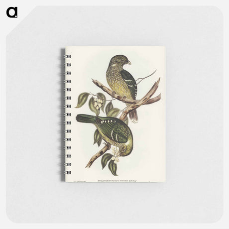 アートメモ帳-Cat Bird
 - オーストラリアの鳥 Memo.