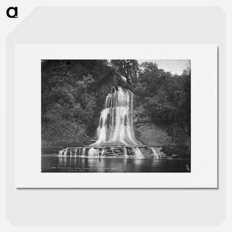 2-78_The-Burton-Brothers_picture