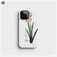 2-78_The-Lilies_phone