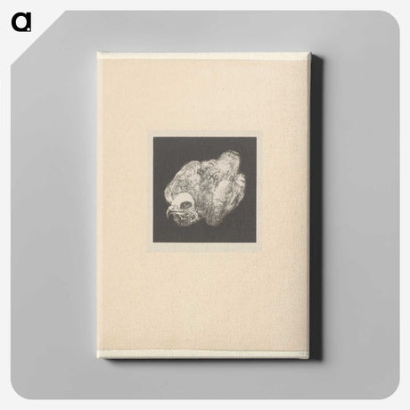 2-78_Theo-van-Hoytema_canvas