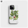 2-78_Treatise-on-Trees-and-Shrubs_phone