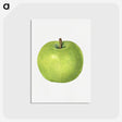 2-78_USDA-Watercolor-Fruit-Painting-Collection_postcard