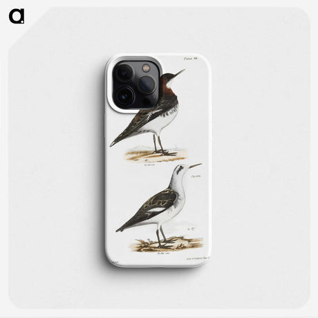 2-78_Zoology-of-New-York_phone