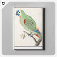 2-79_Anselmus-Boetius-de-Boodt_canvas