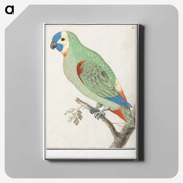 2-79_Anselmus-Boetius-de-Boodt_canvas
