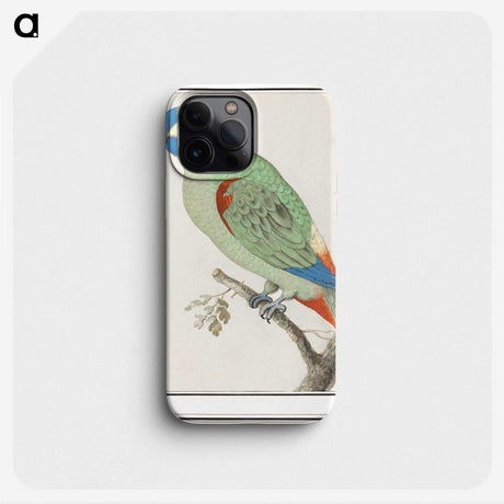 2-79_Anselmus-Boetius-de-Boodt_phone