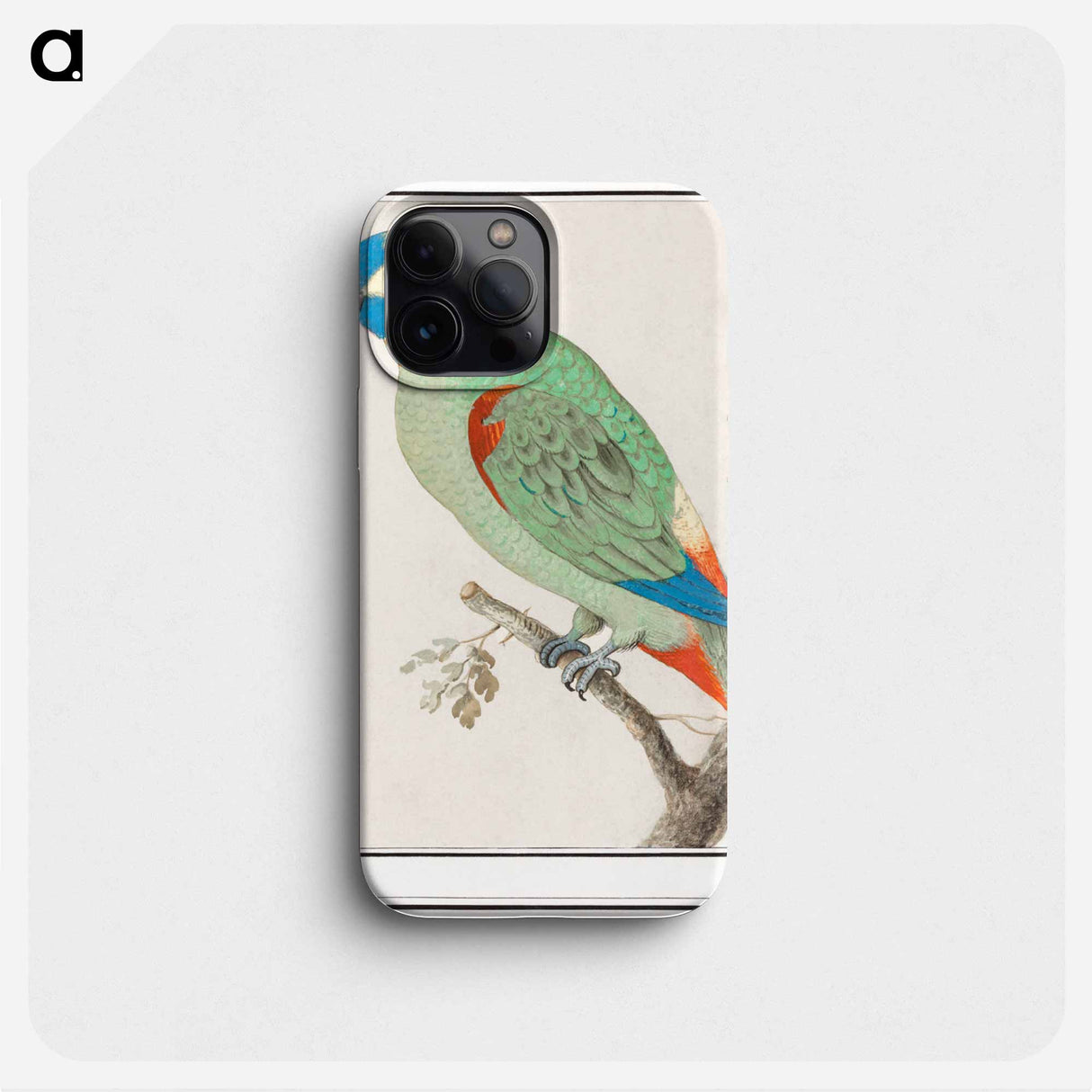 Blue-fronted amazon - アンセルムス ボエティウス デ ブート Phone Case.