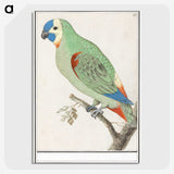 2-79_Anselmus-Boetius-de-Boodt_picture-crop