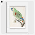 2-79_Anselmus-Boetius-de-Boodt_picture