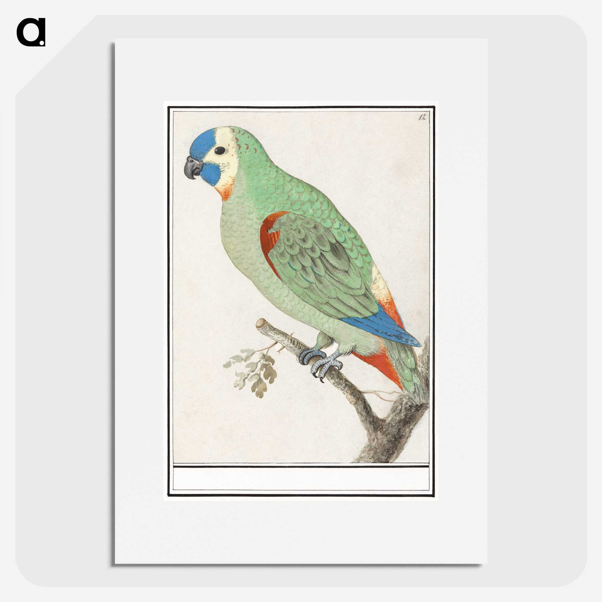 2-79_Anselmus-Boetius-de-Boodt_picture