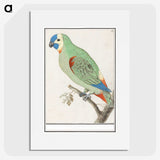 2-79_Anselmus-Boetius-de-Boodt_picture