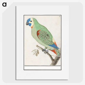 2-79_Anselmus-Boetius-de-Boodt_picture