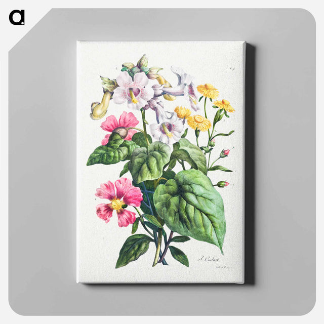 アートパネル-Cours d'Histoire Naturelle
 - クリーブランド美術館 Canvas.