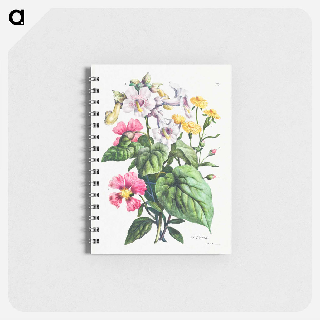 アートメモ帳-Cours d'Histoire Naturelle
 - クリーブランド美術館 Memo.
