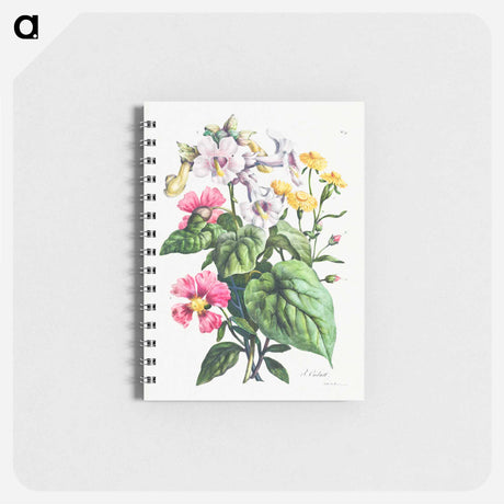 アートメモ帳-Cours d'Histoire Naturelle
 - クリーブランド美術館 Memo.