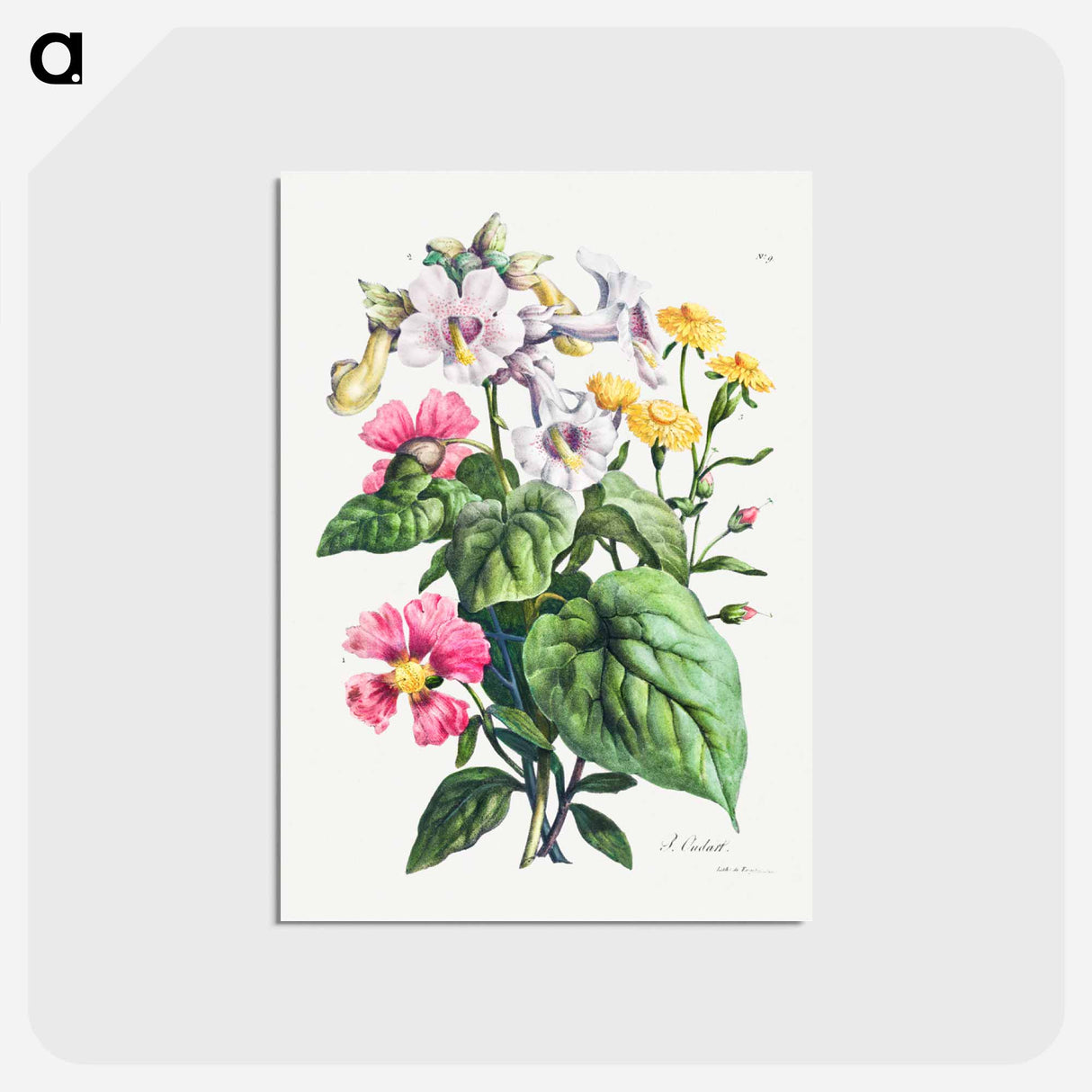 アートポストカード-Cours d'Histoire Naturelle
 - クリーブランド美術館 Postcard.