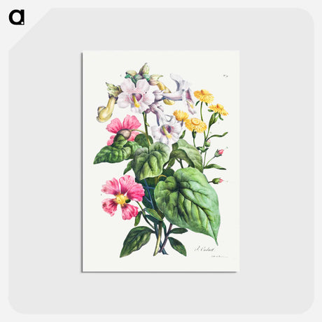 アートポストカード-Cours d'Histoire Naturelle
 - クリーブランド美術館 Postcard.