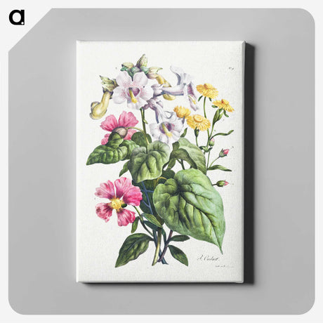 2-79_Cleveland-Museum-of-Art_canvas
