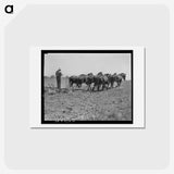 2-79_Dorothea-Lange_hagaki