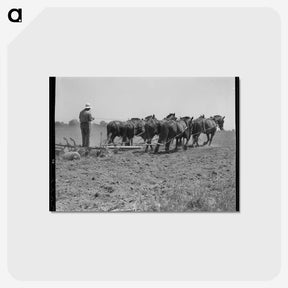 2-79_Dorothea-Lange_postcard