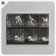 2-79_Eadweard-Muybridge_canvas