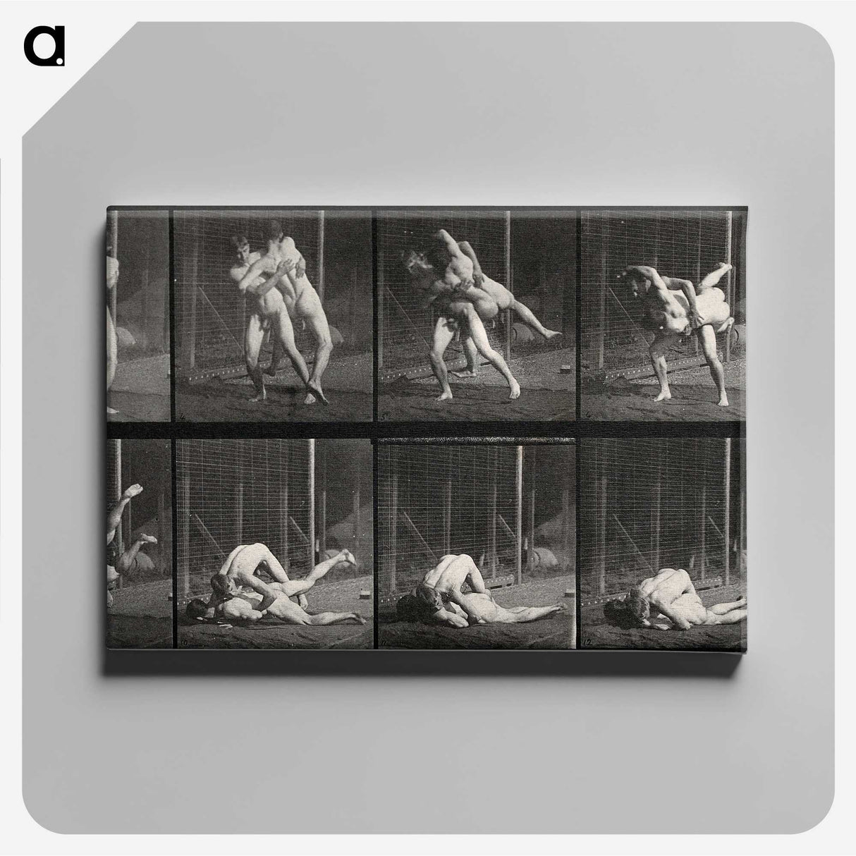 2-79_Eadweard-Muybridge_canvas