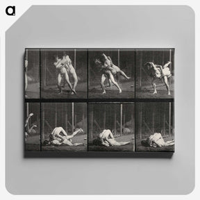 2-79_Eadweard-Muybridge_canvas