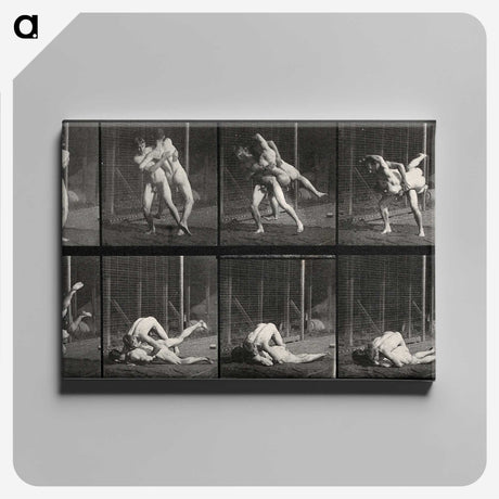 2-79_Eadweard-Muybridge_canvas