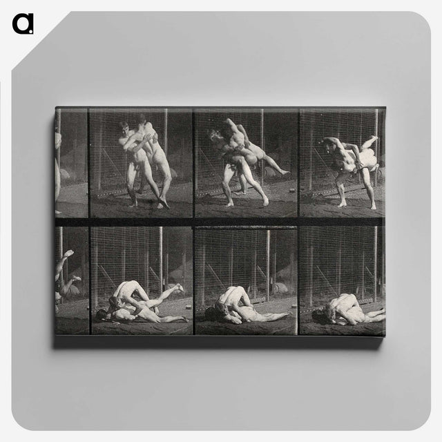 2-79_Eadweard-Muybridge_canvas